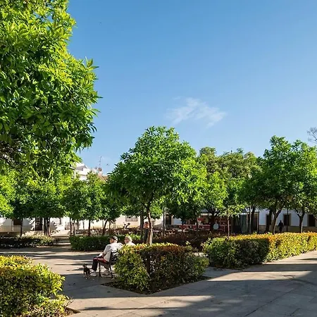 Premium- Arcos De Medina 102 Apartment Cordoba